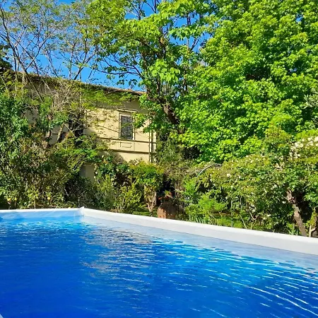 Carola Villa