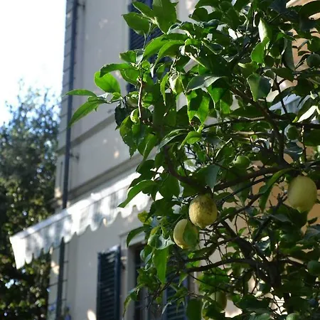 Carola San Giuliano Terme