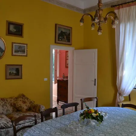 Carola Villa *
