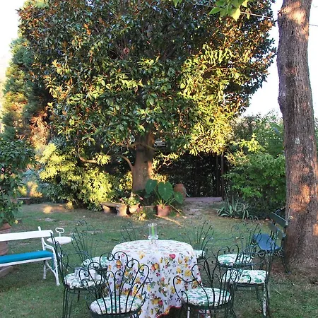 Carola San Giuliano Terme